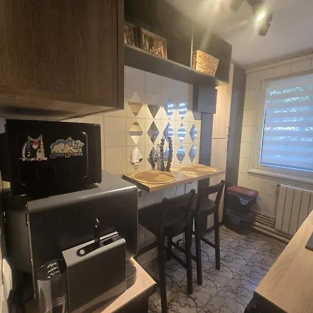 2 Bedrooms In Cismigiu Area - The Real Center Of The Bukurešť